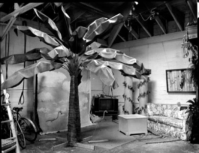 Often regarded as a masterpiece, the palm tree in Jeremy's studio was made from canvas, pvc pipe, cardboard and wood.